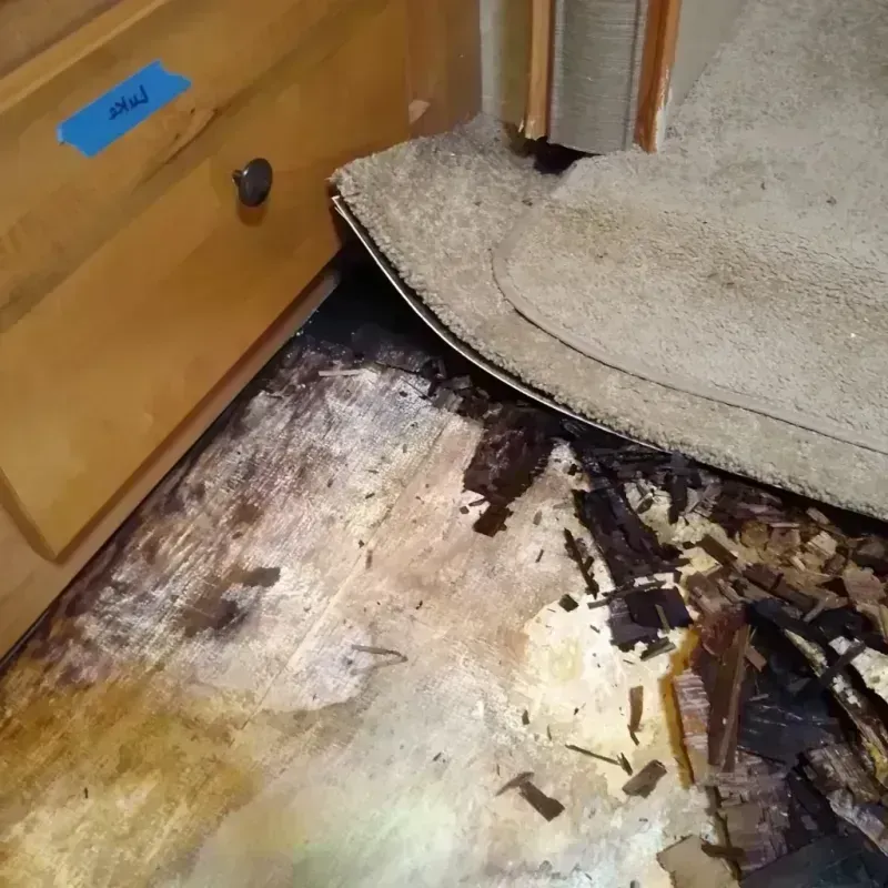 Best Wood Floor Water Damage Service in Glendale, CA